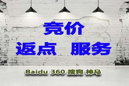 百度推广公司的成功案例：如何实现广告投资回报最大化
